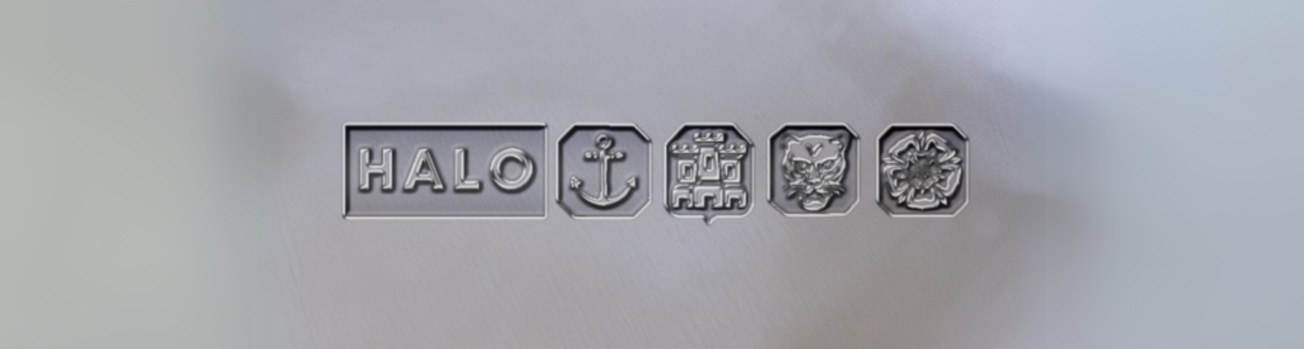 HALO Logo Wide